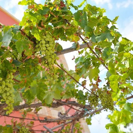 Ada Semesterbostad *